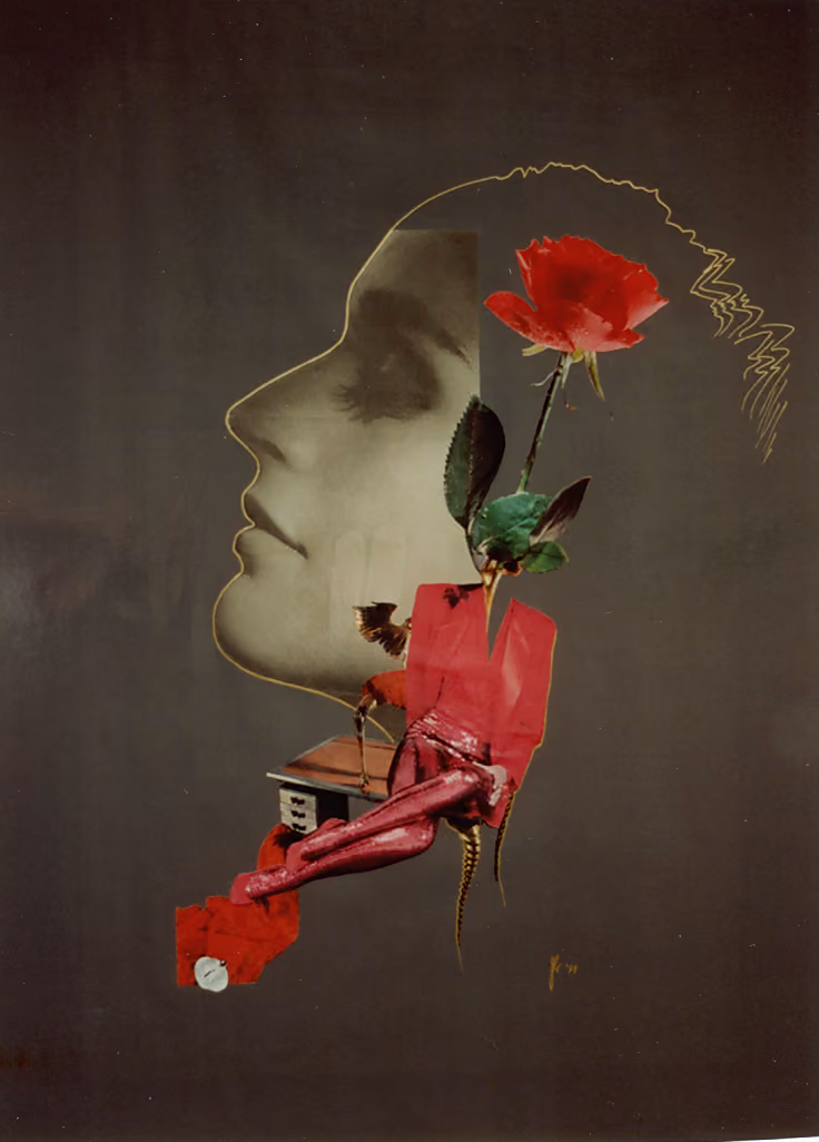 Collage aus Zeitschriftenausschnitten mit Frauenprofil und roter Rose